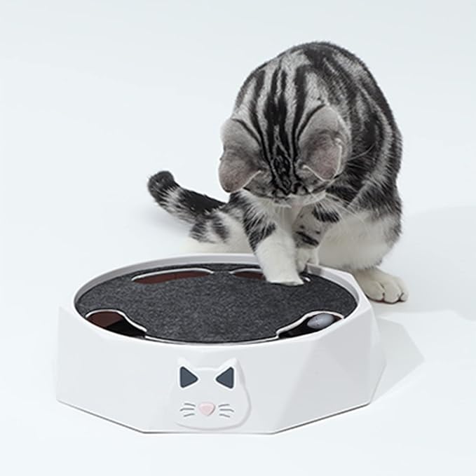 NUEVO JUGUETE TOCADISCOS ELECTRICO PARA GATOS