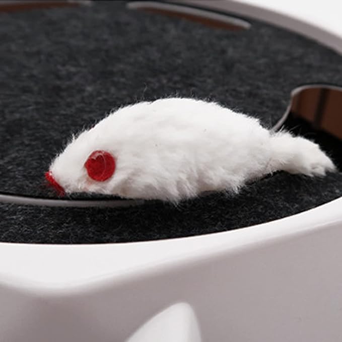 NUEVO JUGUETE TOCADISCOS ELECTRICO PARA GATOS