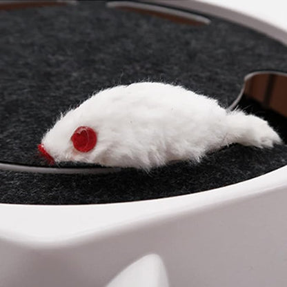 NUEVO JUGUETE TOCADISCOS ELECTRICO PARA GATOS